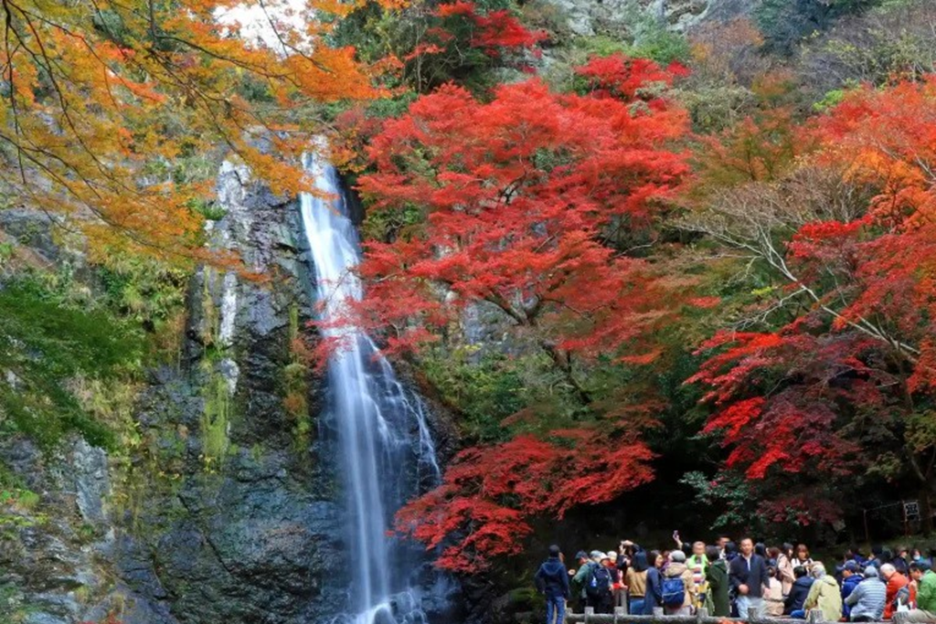 Luxury Group For Fall Foliage 2025