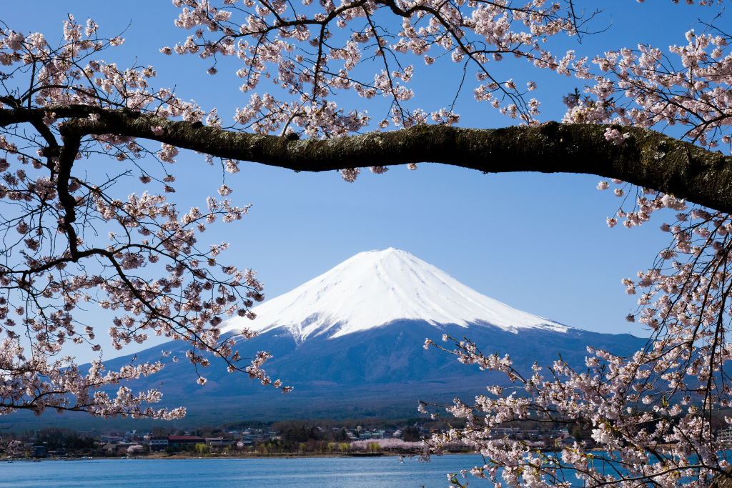 Japan Golden Route Tour 