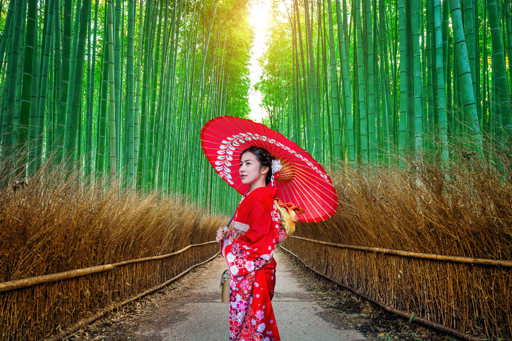 Japan Golden Route Tour 