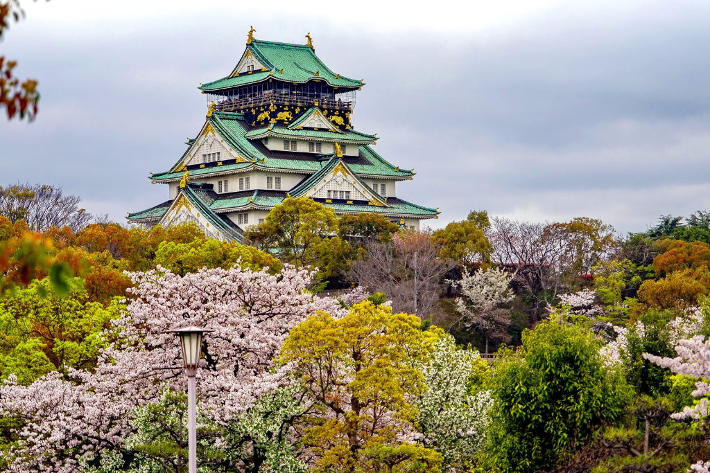 Japan Cultural Tour with Sapporo and Kyoto 