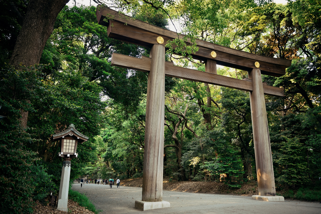 Japan Cultural Tour with Shirakawago and Alpine Route 