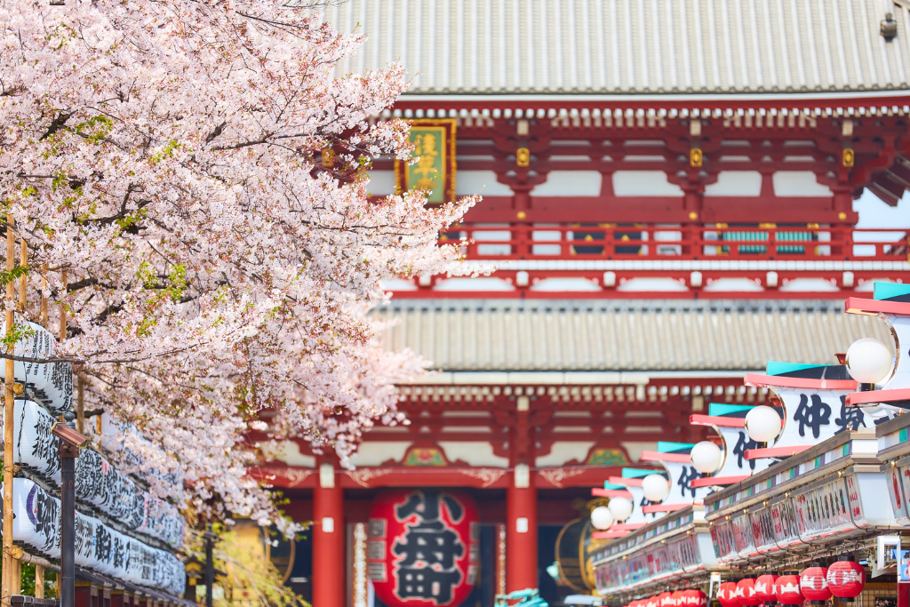 Japan Cultural Tour with Shirakawago and Alpine Route 