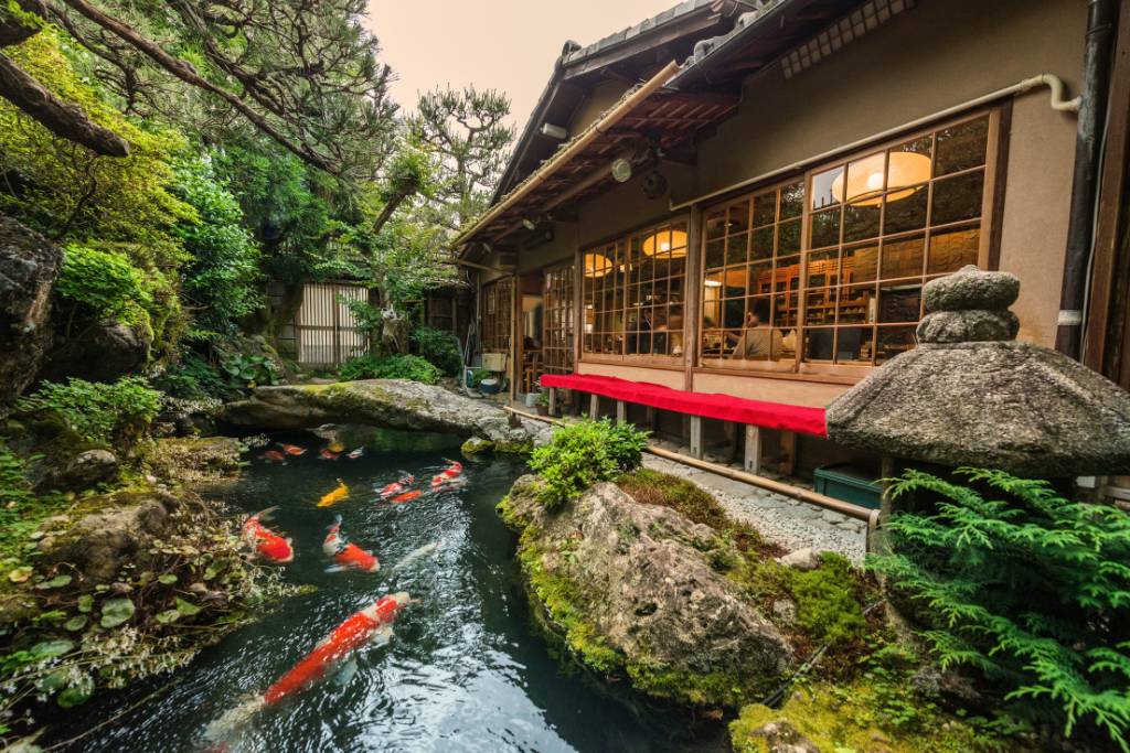 Highlights of Japan ( Group Tour)