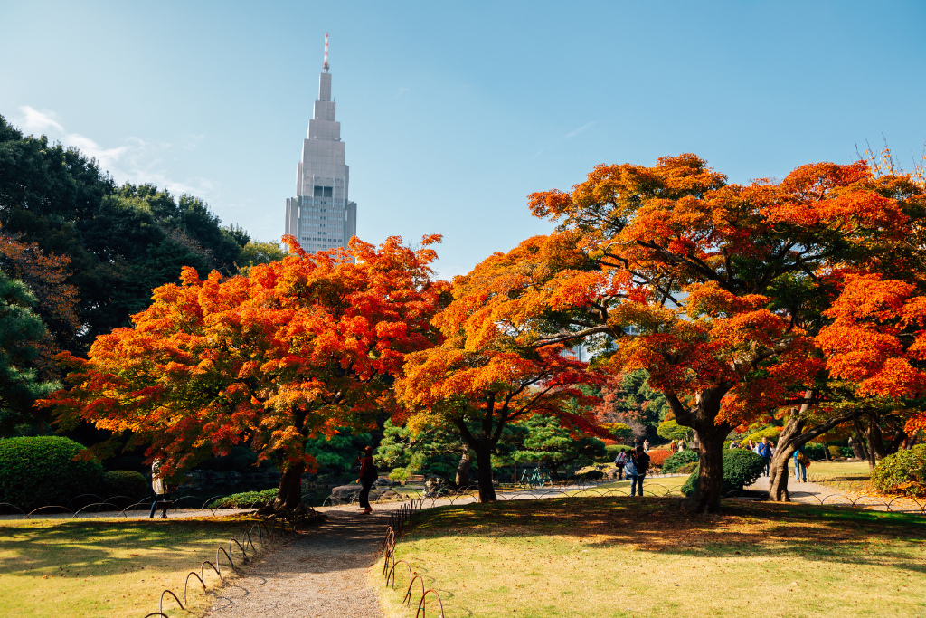 Highlights of Japan ( Group Tour) 