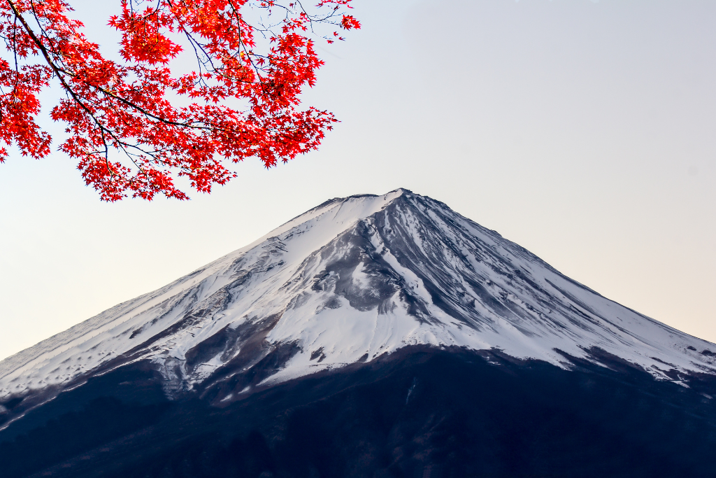 Japan Golden Route Tour with Hiroshima 